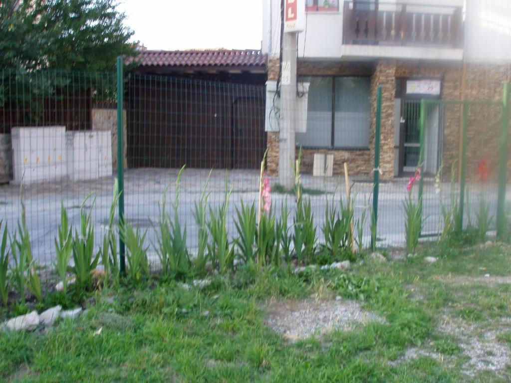 Hotel Riskyoff Bansko Buitenkant foto